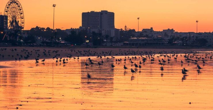 Marrakech to Agadir: Unforgettable Full-Day Adventure - Experience Highlights