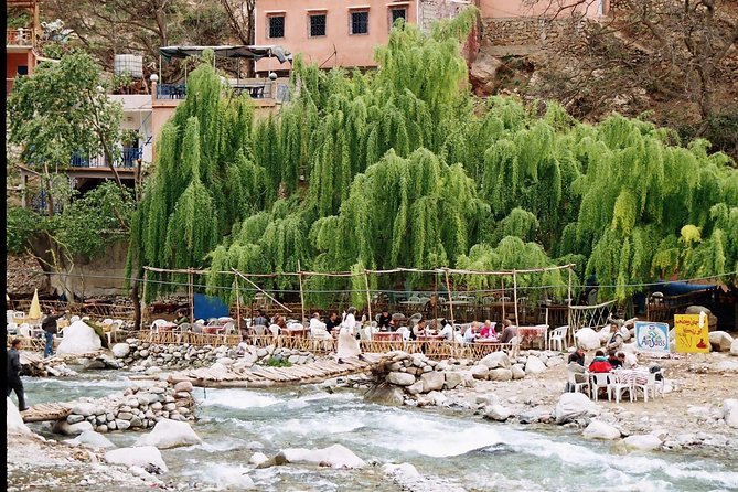 Marrakech to Atlas Mountains: Day Trip to Ourika Valley - Lunch With Local Flavors