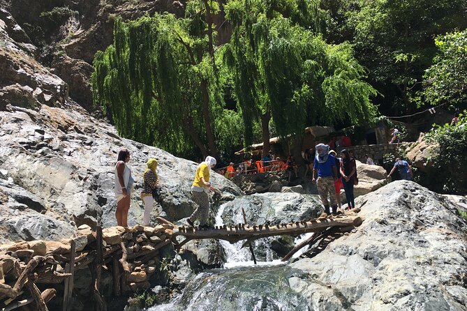 Marrakech to Atlas Mountains Full Day Trip - Local Cuisine and Refreshments