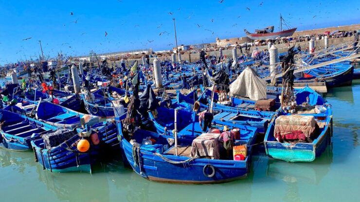 Marrakech to Essaouira: Day Trip With Lunch and Wine Tasting - Highlights of Essaouira Trip