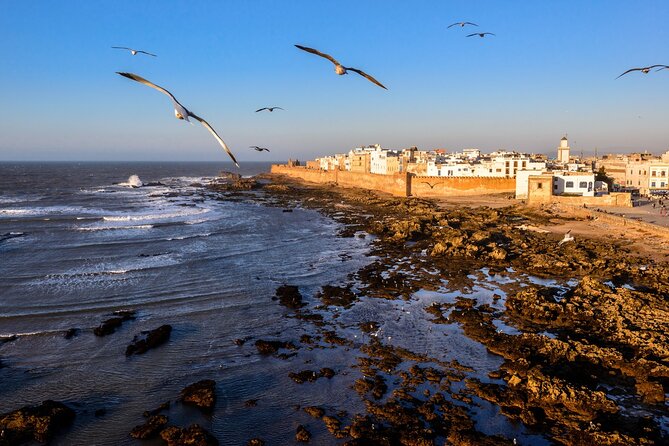 Marrakech to Essaouira / Small Group Day Tour to Essaouira - Special Offer