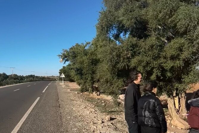 Marrakech to Essaouira / Small Group Day Tour to Essaouira - Reviews