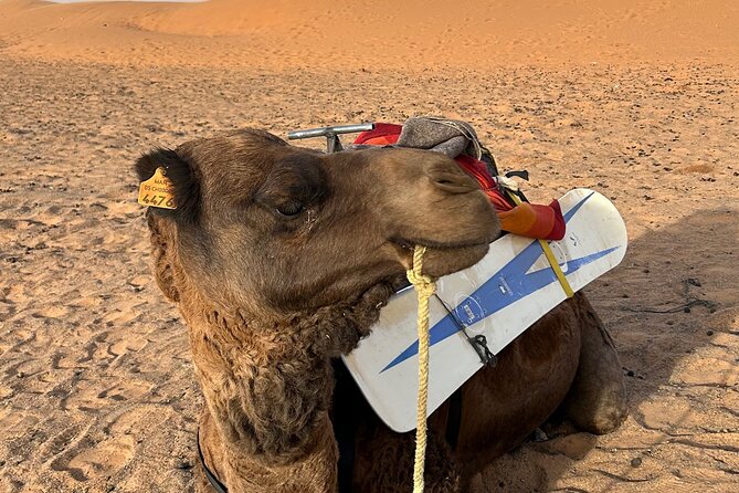 Marrakech To Fes 3 Day Sahara Desert Group Tour - Frequently Asked Questions