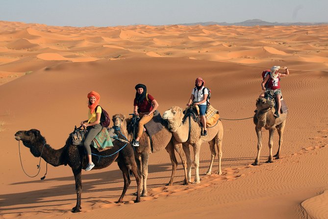 Marrakech to Fes Desert Tour 3 Days - 2 Nights - Sightseeing and Activities