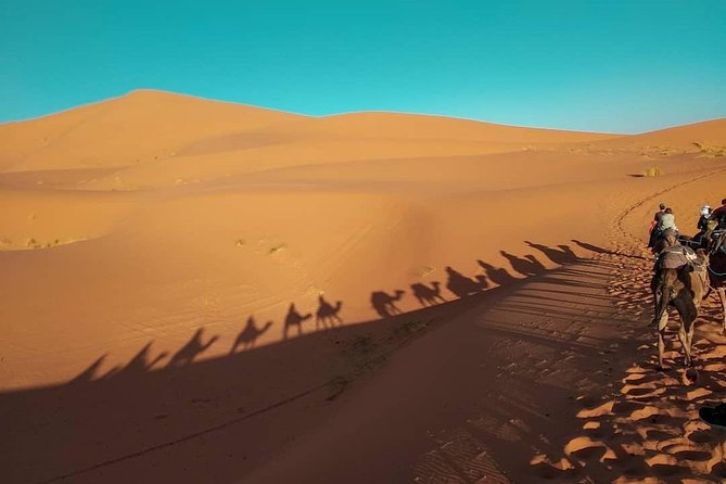 Marrakech to Fez via Merzouga Desert 3-Day Morocco Tour - Pricing and Guarantee