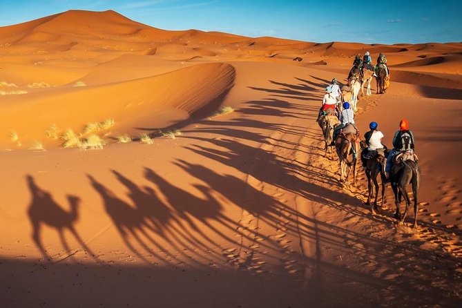 Marrakech to Fez via Merzouga Desert 3-Days Morocco Sahara Tour - Common Questions