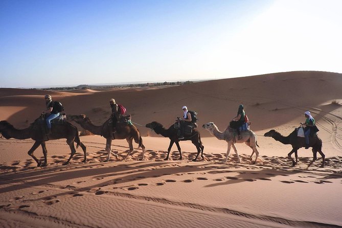 Marrakech to Merzouga 3 Days 2 Nights Shared Desert Tour - Price and Travelers Limit