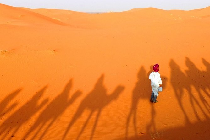 Marrakech to Merzouga Desert 3 Days Tour With Luxury Camp - Meeting and Logistics