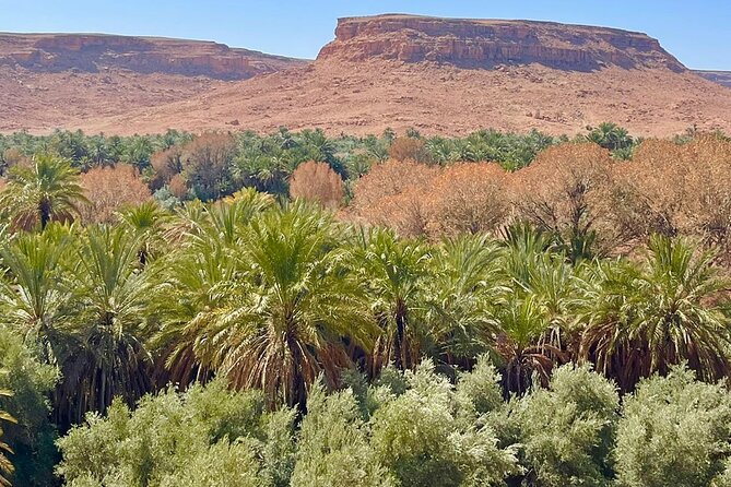 Marrakech to Merzouga Desert in 3 Days - Accessibility Information