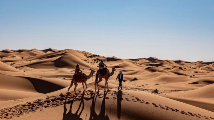 Marrakech to Merzouga Desert Tour 3-Day - Tour Booking Details