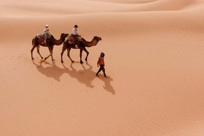 Marrakech to Merzouga Desert Tour 3 Days - Cancellation and Support