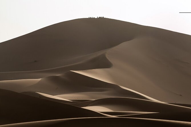 Marrakech to Merzouga Desert Tour 3 Days - Reviews and Pricing