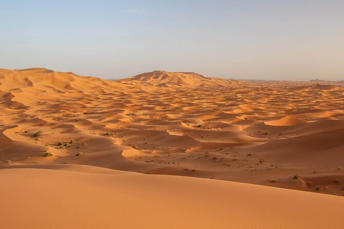 Marrakech to Merzouga Private 2-Night Desert Experience - Dadès Gorge and Oasis Discovery