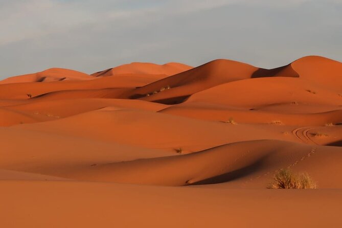 Marrakech to Merzouga Sahara Desert Tour-3 Days 2 Nights Adventur - Meeting and Pickup