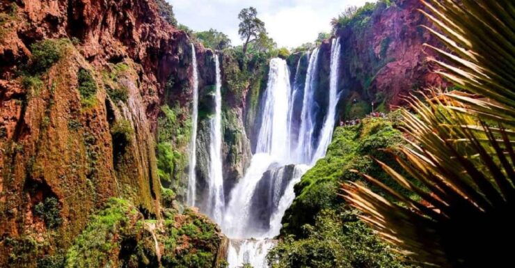 Marrakech To Ouzoud Waterfalls All Exclusive Day Trip - Booking Information