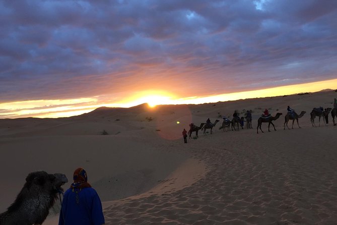 Marrakech To Zagora 2 Days Desert Tour - Camp Experience