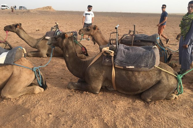 Marrakech to Zagora 2 Days Desert Tour - Accommodation Details