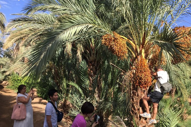 Marrakech to Zagora 2 Days Desert Tour - Meal Inclusions