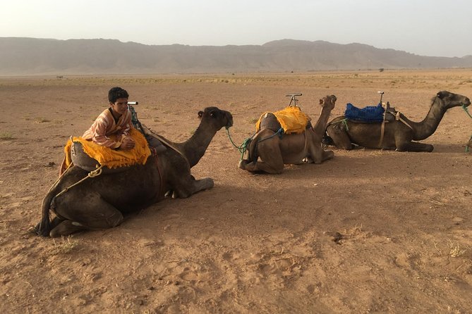 Marrakech to Zagora 2 Days Desert Tour - Booking and Cancellation Policy