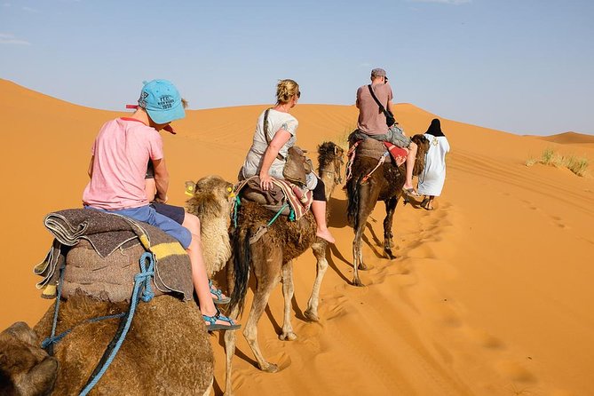 Marrakech to Zagora Desert Excursion 2 Days - Day 1: Desert Activities