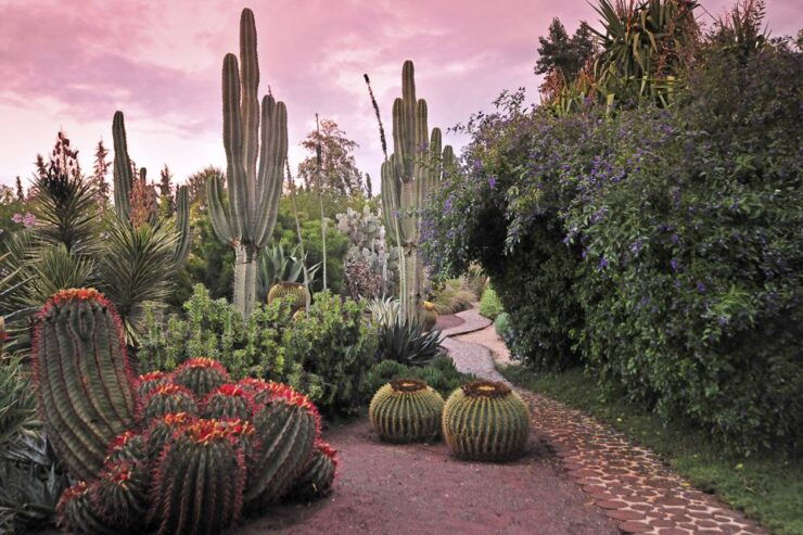 Marrakech Tour Gardens Majorelle, Menara & Anima Gardens - Booking Information