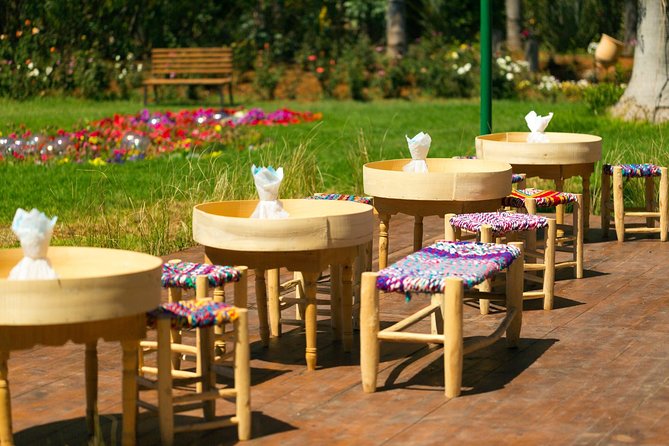 Marrakech Tour Gardens Majorelle, Menara & Anima Gardens - Overview of Marrakech Tour Gardens