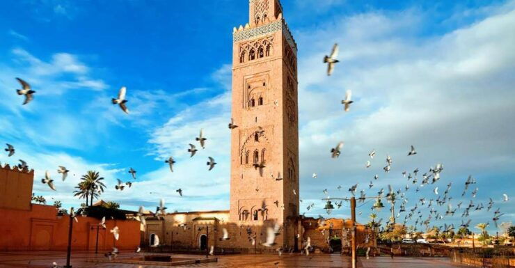 Marrakech: Tour of Majorelle and Menara Gardens - Booking Details