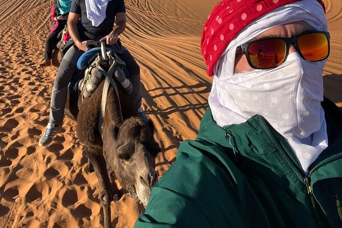 Marrakech Travel Services: Airport Transfers & Hotel Shuttles - Vehicle Information