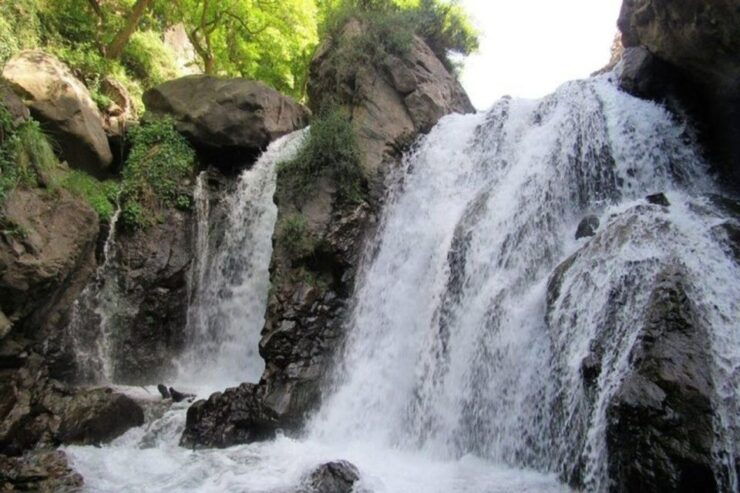 Marrakech: Visit Anima Garden & Atlas Mountains Day Tour - Anima Garden Experience