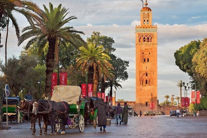 Marrakech Walking Tour Explore the Medina Souks - Frequently Asked Questions
