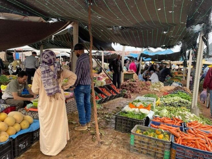 Marrakech:Atlas Ourika Valley Waterfall Camel Ride - Activity Details