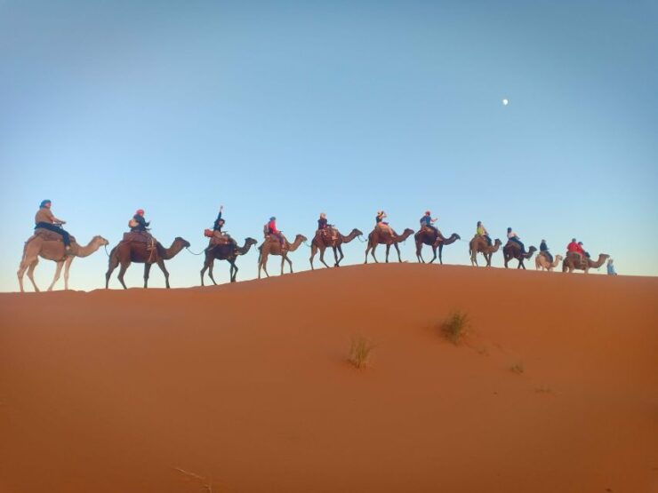 Marrakesh: 3-Day Tour to Fez With Merzouga Desert Camping - Tour Duration and Language Options