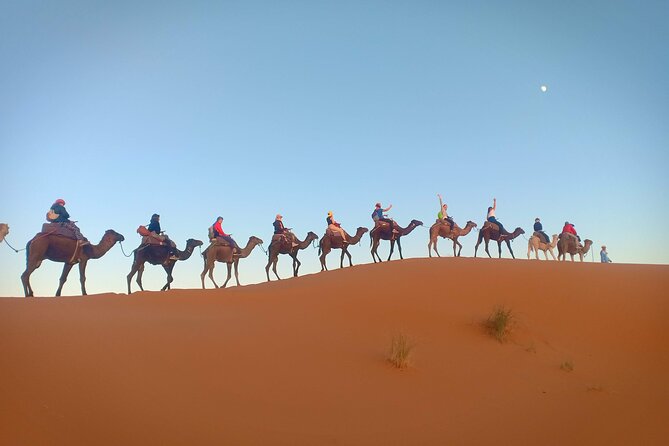 Marrakesh 3 Days Tour to Fez With Overnight Desert Camping - Tour Highlights
