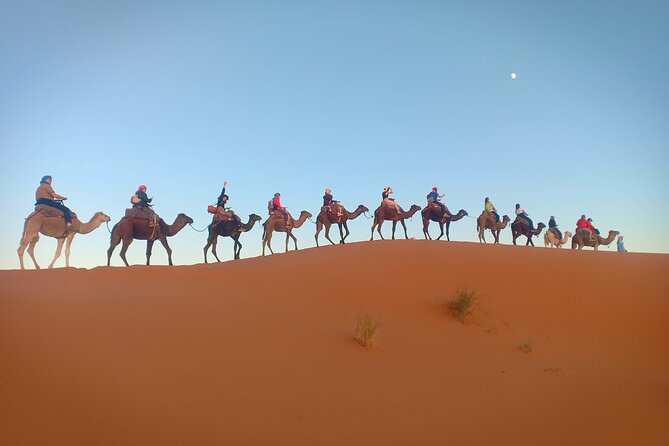 Marrakesh 3 Days Tour to Fez With Overnight Desert Camping - Tour Inclusions and Pricing Details