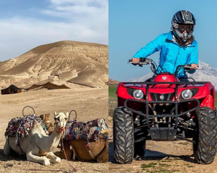 Marrakesh: Agafay Desert Camel Ride and ATV Tour - Experience Highlights