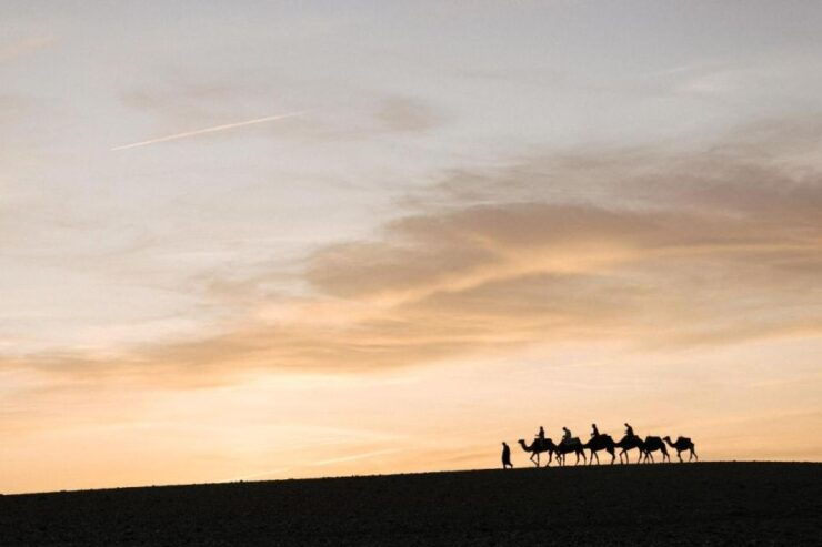 Marrakesh: Agafay Desert Sunset, Camel Ride, Dinner and Show - Experience Highlights