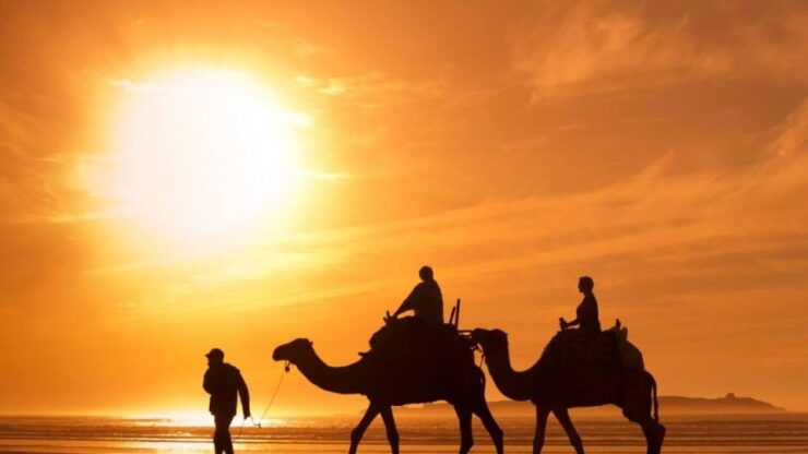 Marrakesh: Agafay Desert Sunset, Camel Ride, Dinner and Show - Experience Highlights