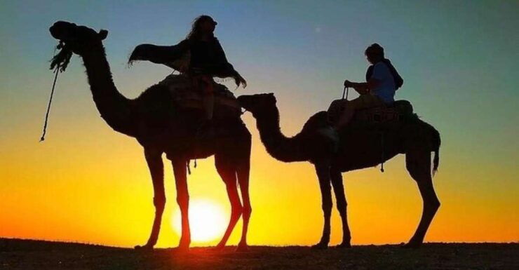 Marrakesh: Agafay Desert Sunset, Camel Ride, Dinner and Show - Activity Details
