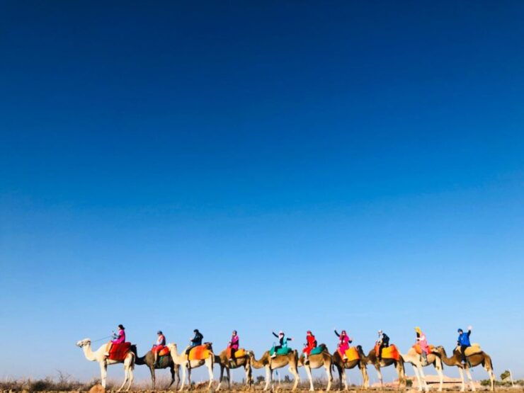 Marrakesh: Atlas Mountains, Three Valleys & Waterfalls Tour - Berber Culture Experience