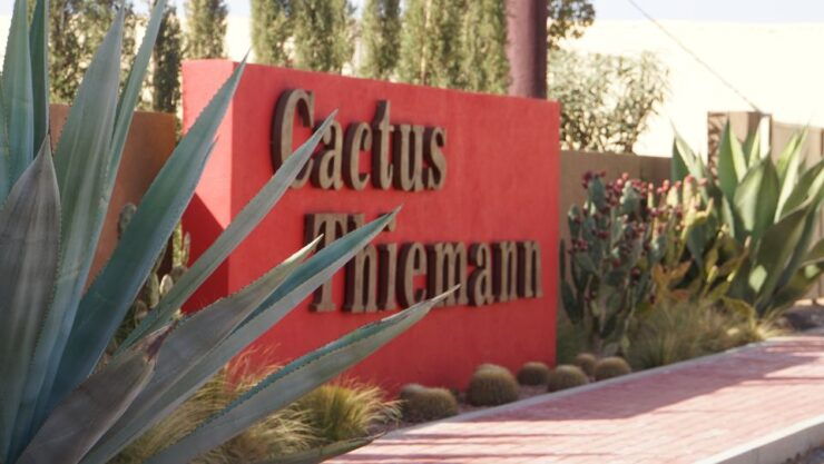 Marrakesh: Cactus Thiemann Entry Ticket - Ticket Information