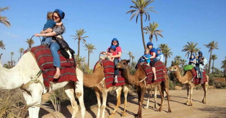 Marrakesh Countryside: 1-Hour Palm Grove Camel Ride - Ticket Details