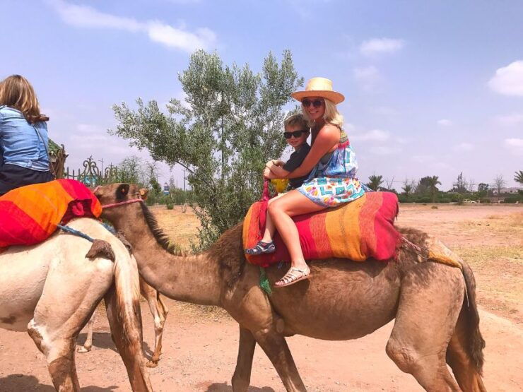 Marrakesh Countryside: 1-Hour Palm Grove Camel Ride - Experience Highlights