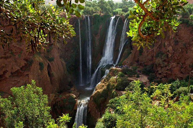 Marrakesh Day Trip to Ouzoud Waterfalls - Experience Highlights