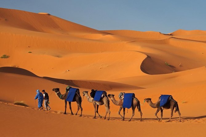 Marrakesh Desert Tour 3 Days - Cancellation Policy and Important Information