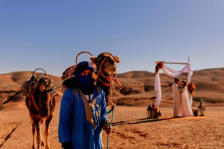 Marrakesh: Full-Day Desert and Mountain Tour With Camel Ride - Activity Highlights