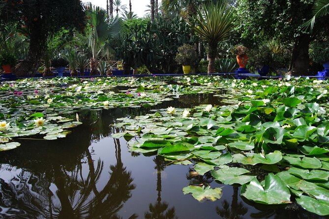 Marrakesh Historical and Cultural Half Day Guided Tour - Frequently Asked Questions
