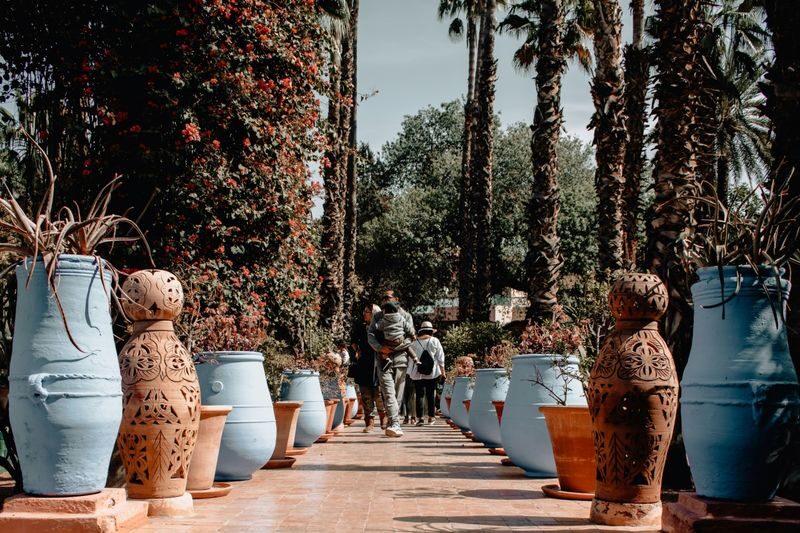 Marrakesh: Majorelle Garden Entry Tickets - A garden with a strong point of view