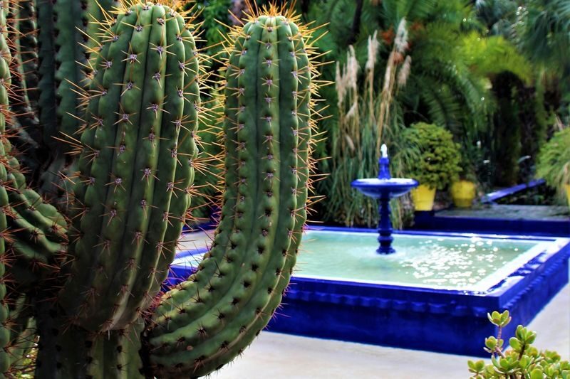 Marrakesh: Majorelle Garden Entry Tickets - Choosing an entry time