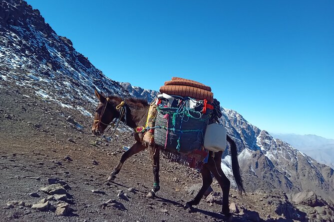 Marrakesh Private 2-Day High Atlas Mountains Trek - Marrakech - Private Guide Available