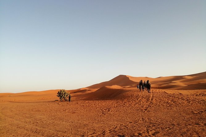 Marrakesh Private 6-Day City and Sahara Desert Tour  - Marrakech - Tour Highlights